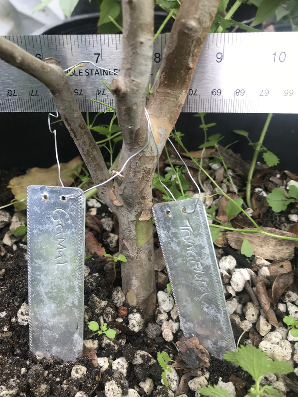 5BCEE32E-C87A-4781-84AE-87D252627BAD