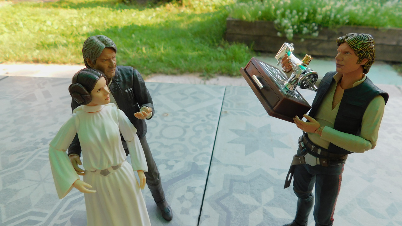 Дачно-Харлинский июнь-июль 2024 082