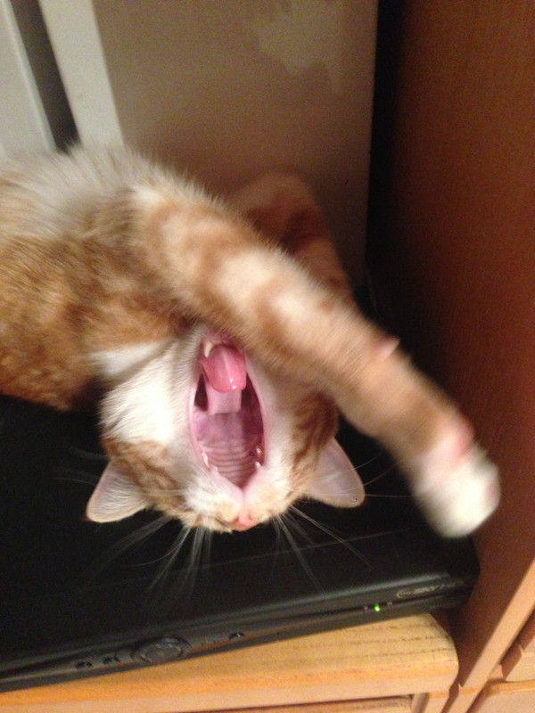 AAA43562-9719-4078-B115-237695F6A0F1