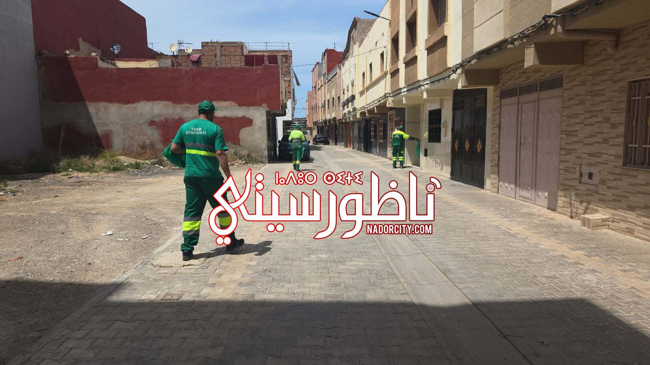 Whats-App-Image-2026-05-25-at-15-18-44-(2)