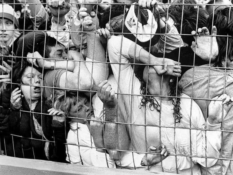 [Изображение: photo-2025-12-15-16-49-19.jpg]