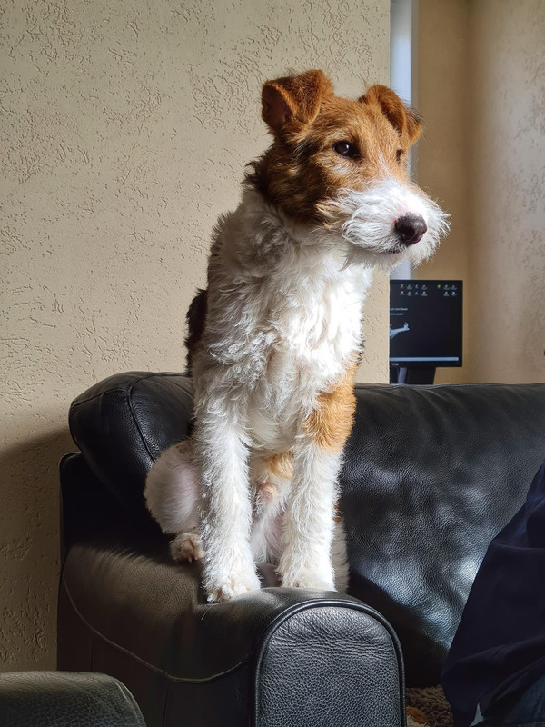 43E10D83-74B3-487E-82AE-BBDD0E329306