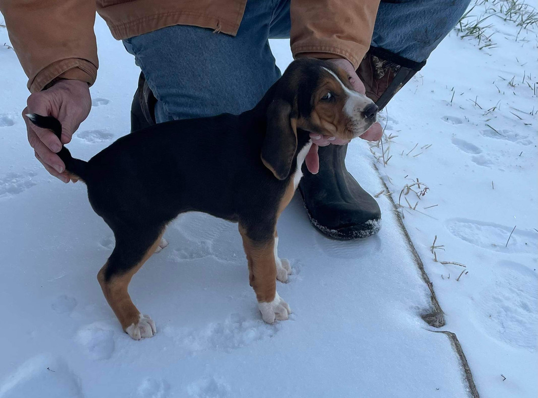 29C4EC90-66FB-40FF-93C4-2DC179C9D18E