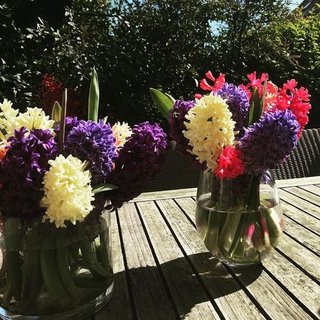 183950043-2988512504715250-3483071312949154735-n