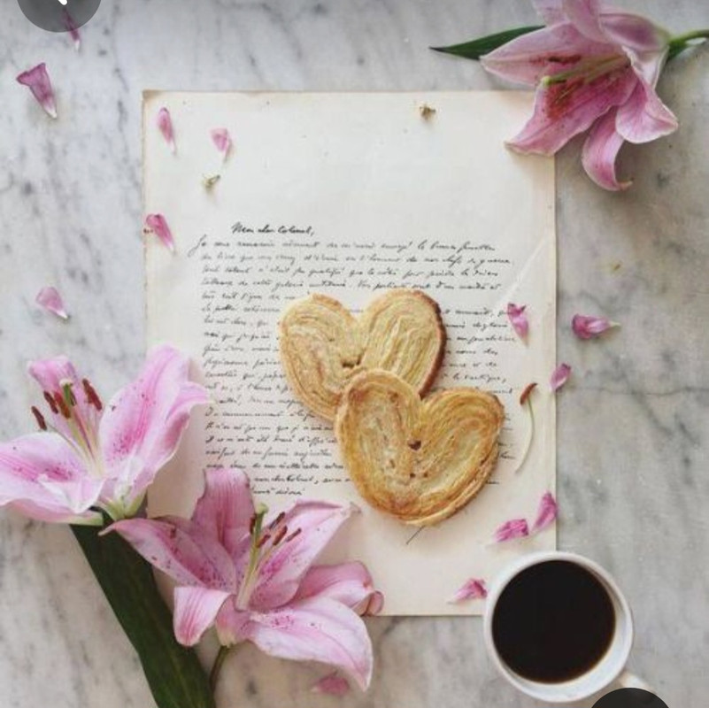 Screenshot_20240206_190143_Pinterest