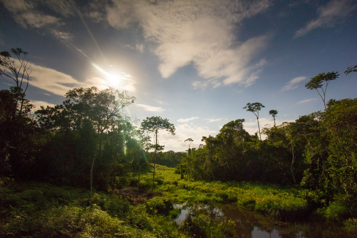 Wetland-at-night-CRJ-IMG-6217.jpg