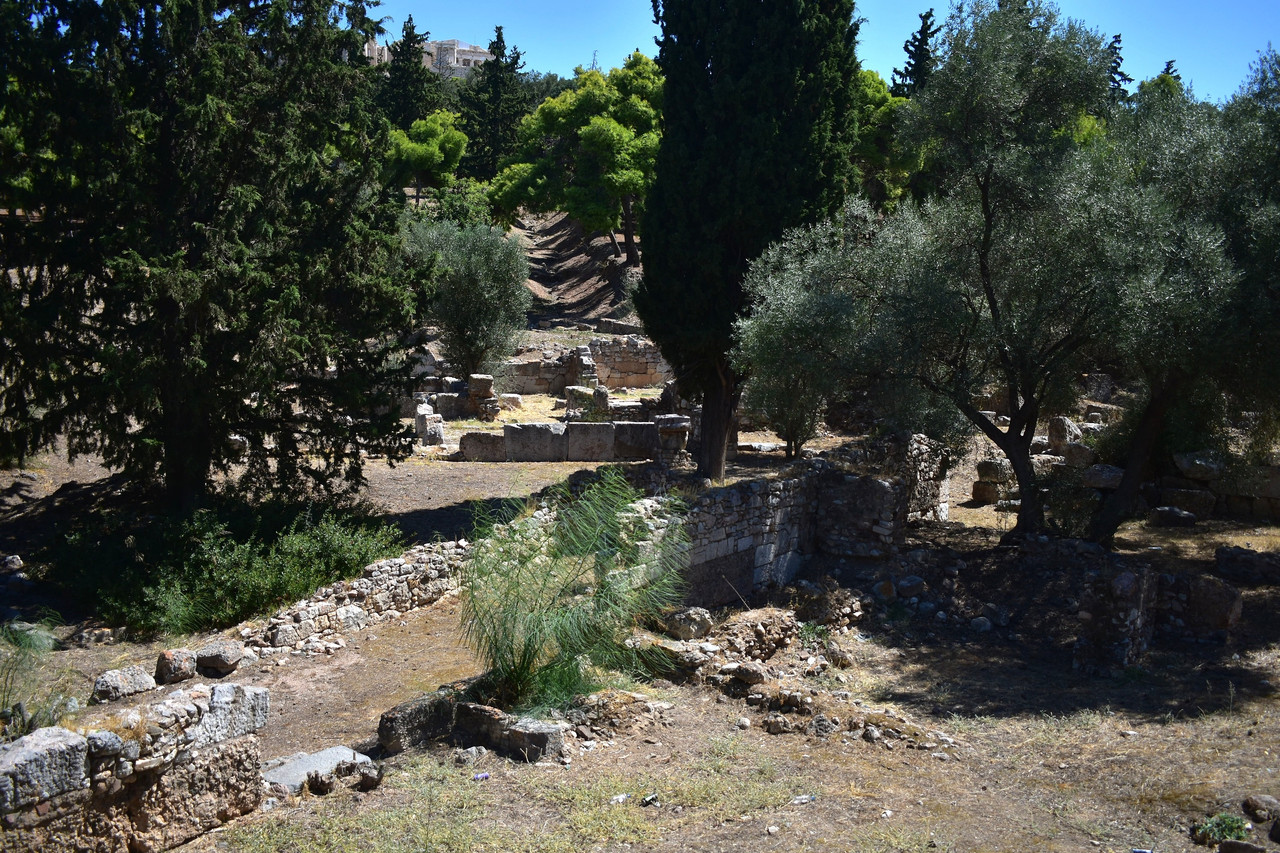 DSC 0060