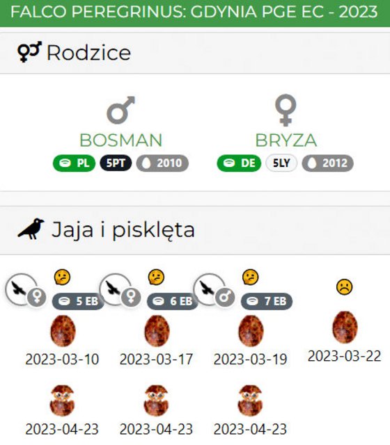 Gdynia-EDF - Pagina 2 Przechwytywanie-w-trybie-pe-noekranowym-11-05-2023-230712