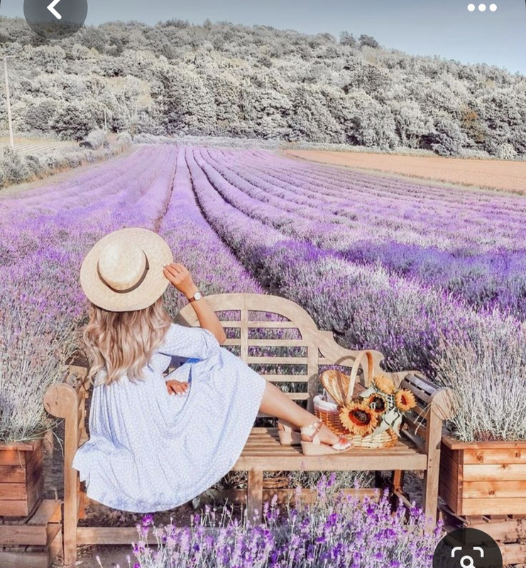 Screenshot_20230919_222548_Pinterest