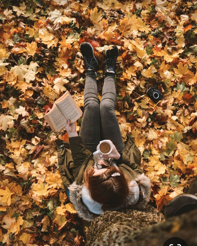 Screenshot_20231117_210301_Pinterest