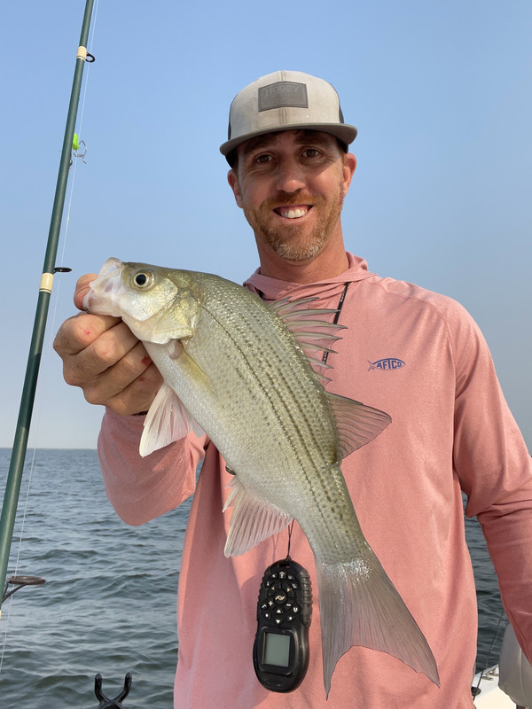 55CEBCCA-D76D-491B-9617-9CE11167A7B9