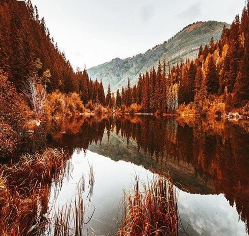 Screenshot_20221208-221321_Chrome