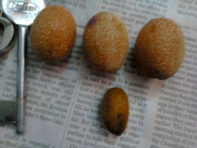 Photo0114