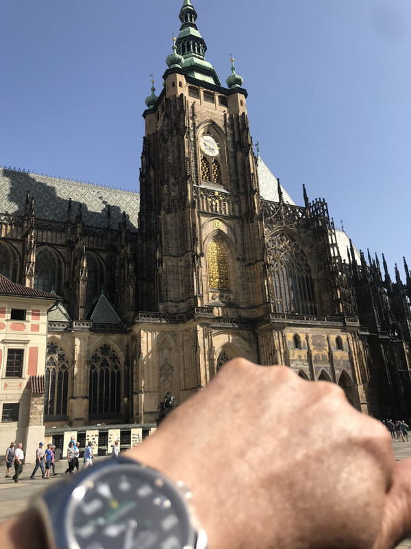 D115A9B0-6D0C-4155-BE42-54F3F4CA797D