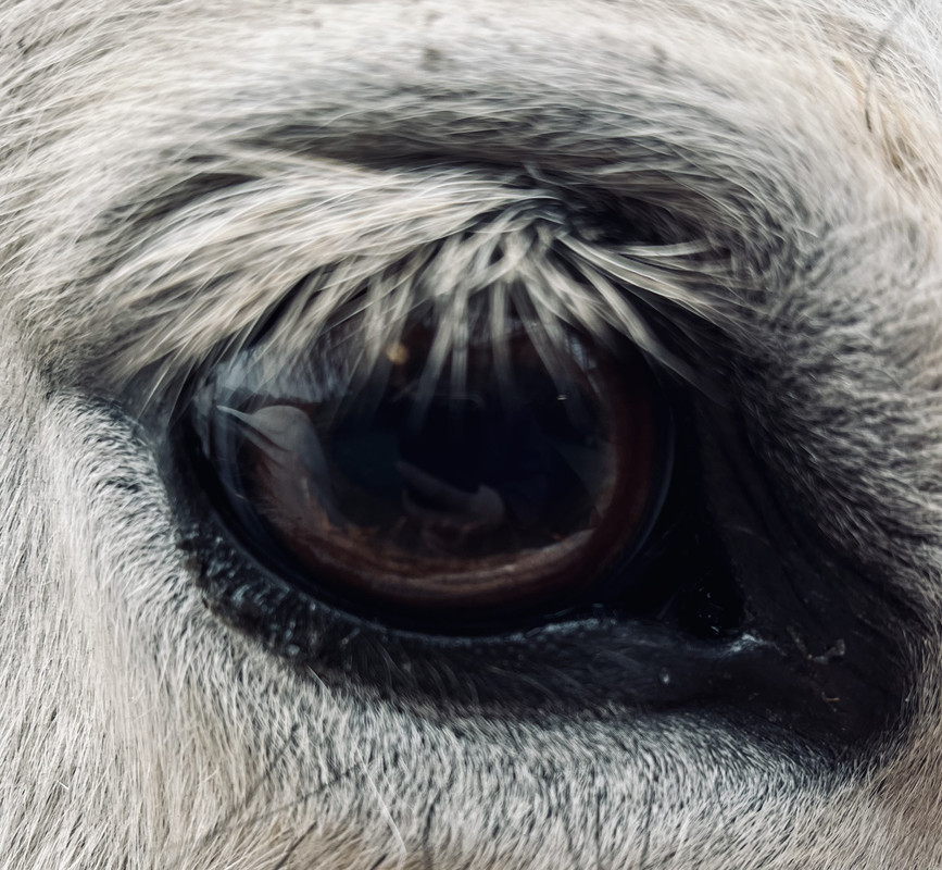 6031C801-B527-4861-8451-6BE5C493B9F6