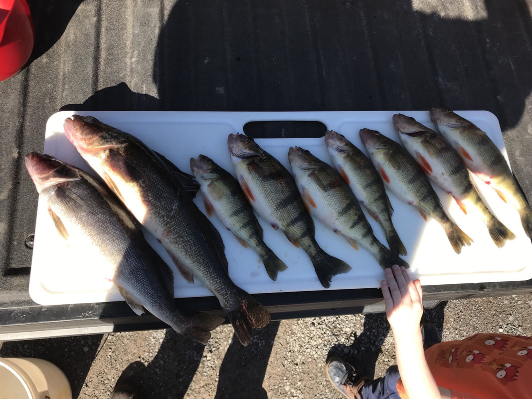 F8798A84-C316-4107-8D58-4C49F9515223