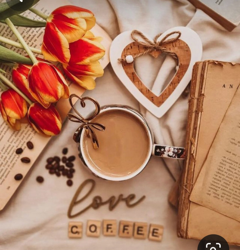 Screenshot_20240424_230722_Pinterest