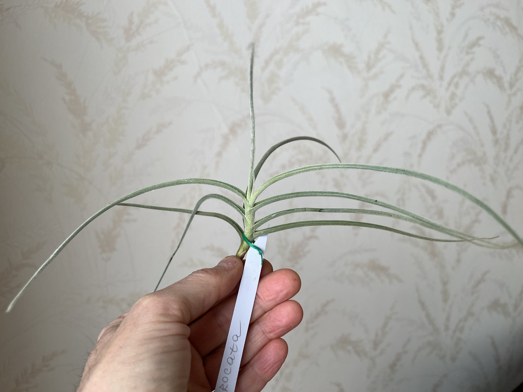 DCF5B3FD-40B3-4417-B4B9-C9735B86881D