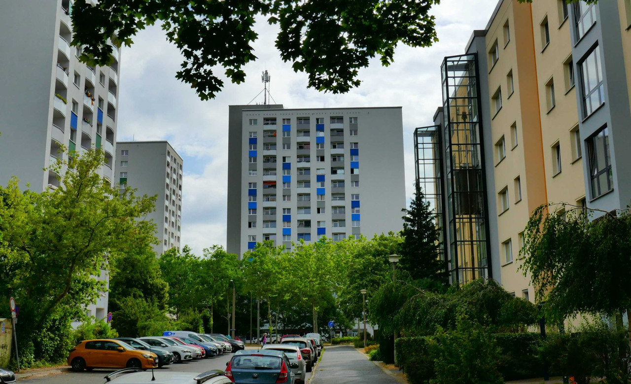P1290533.jpg