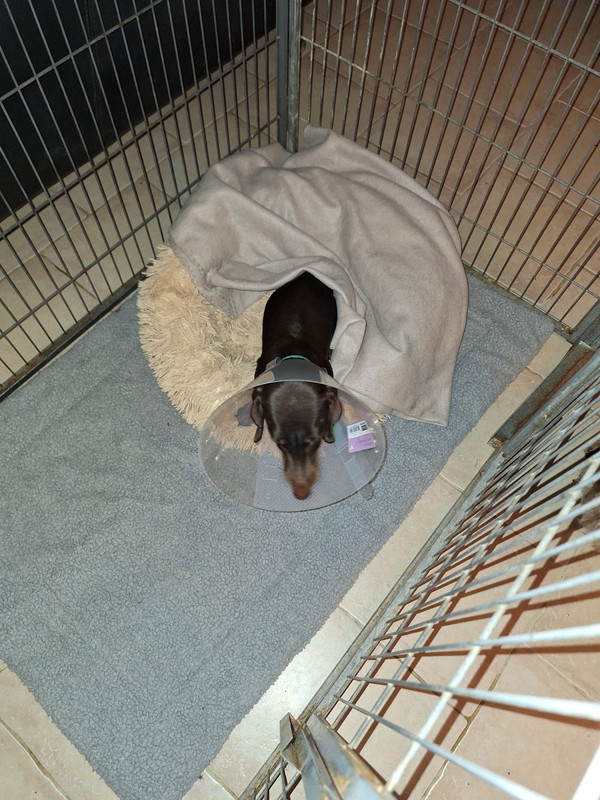 [Image: 20240215-203823.jpg]