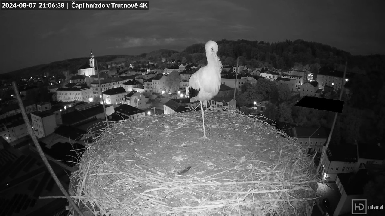 Tiešraidē no stārķa ligzdas uz alus darītavas skursteņa Trutnovā 17-32-6 screenshot