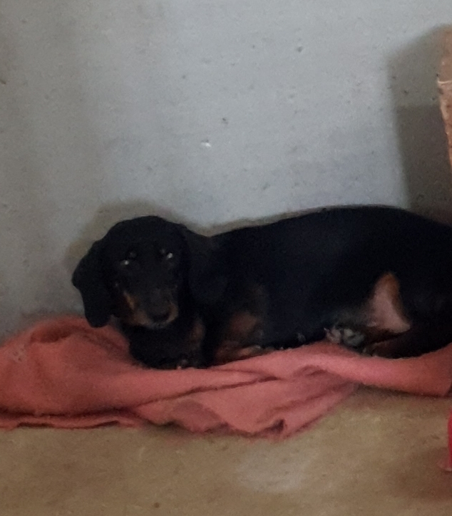 [Image: 20210403-204352.jpg]