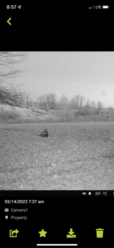 4EBB69BC-5FA2-490B-AEE8-F01373593CE7