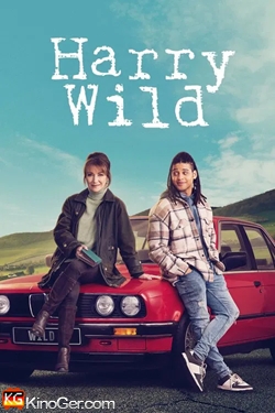 Harry Wild - Mörderjagd in Dublin (2022)