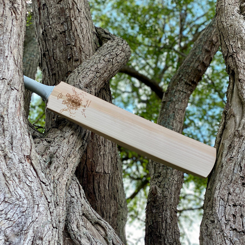 B3C264DF-4BD7-402F-9F5A-E8425B349EEC