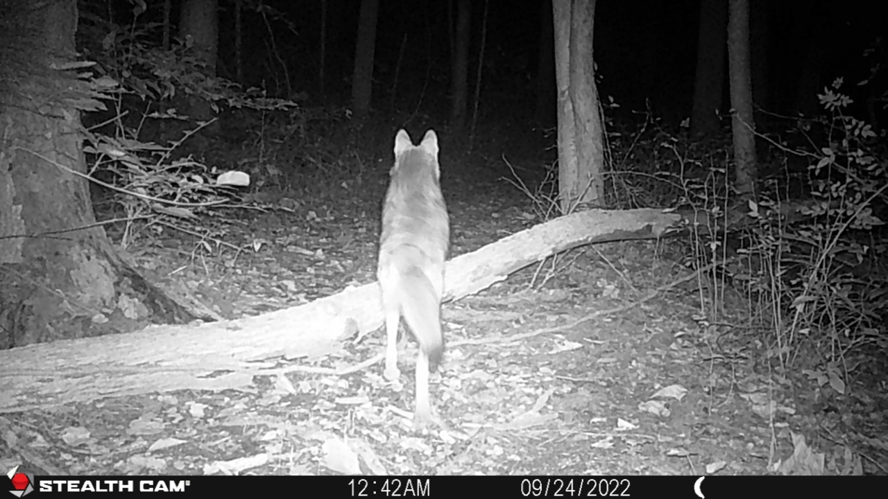 Resized_STC_0490_35892383594744