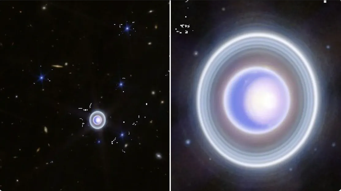 Telescopio James detecta una polvorienta 'cola de gato' en un sistema planetario