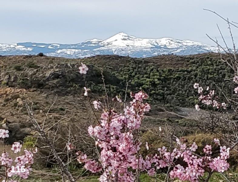 116 Linda Wisbach from LOs Higuarales IMG_20200129_111946__01