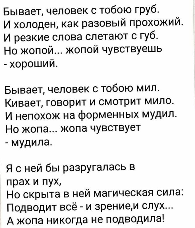 жопа