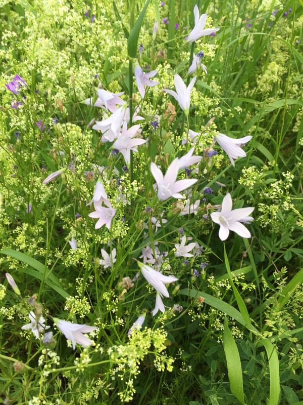 A49AC040-22D9-4DF7-BB71-605091C6F658