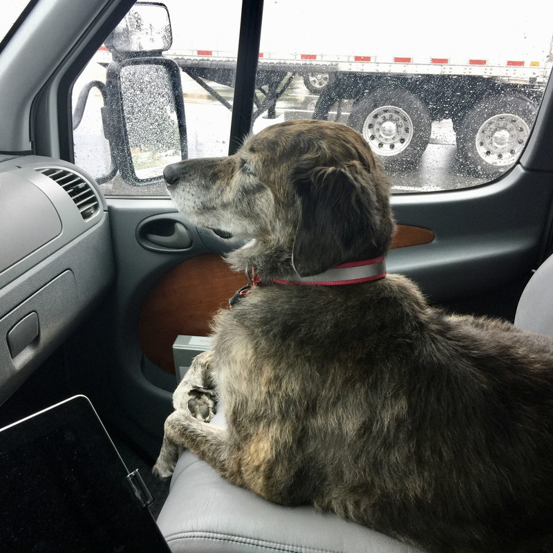 97ADB8EA-B98F-40EC-A68F-D0BFBC482C93