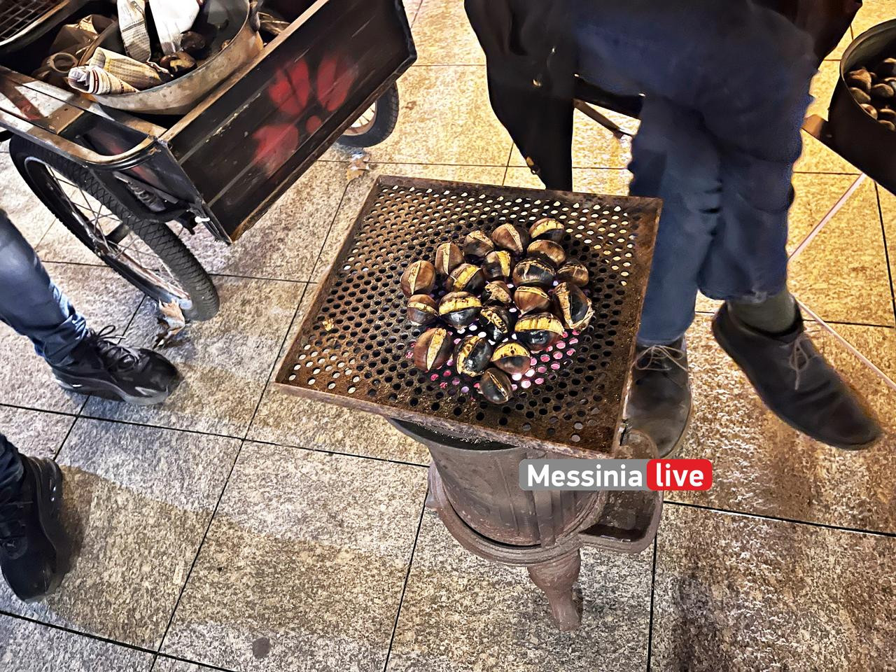 KASTANAS PLATEIA IMG 0599