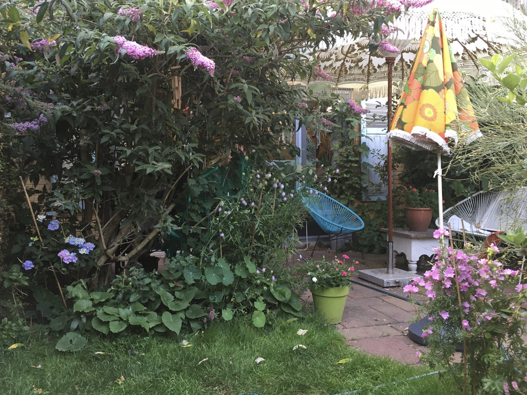 D129270C-2591-4128-917A-410841256DC6