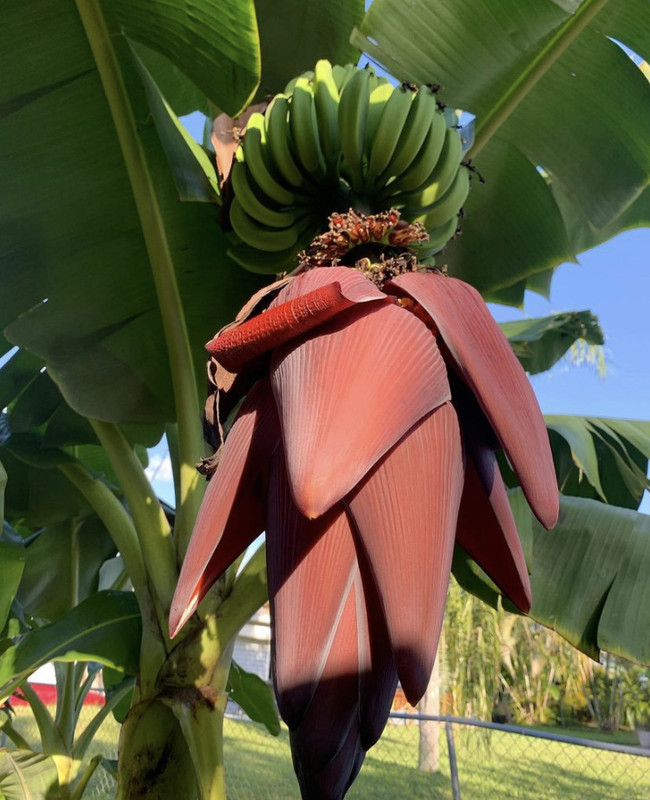 2B274BCF-73BF-4A19-BF89-6FD01038CFD1