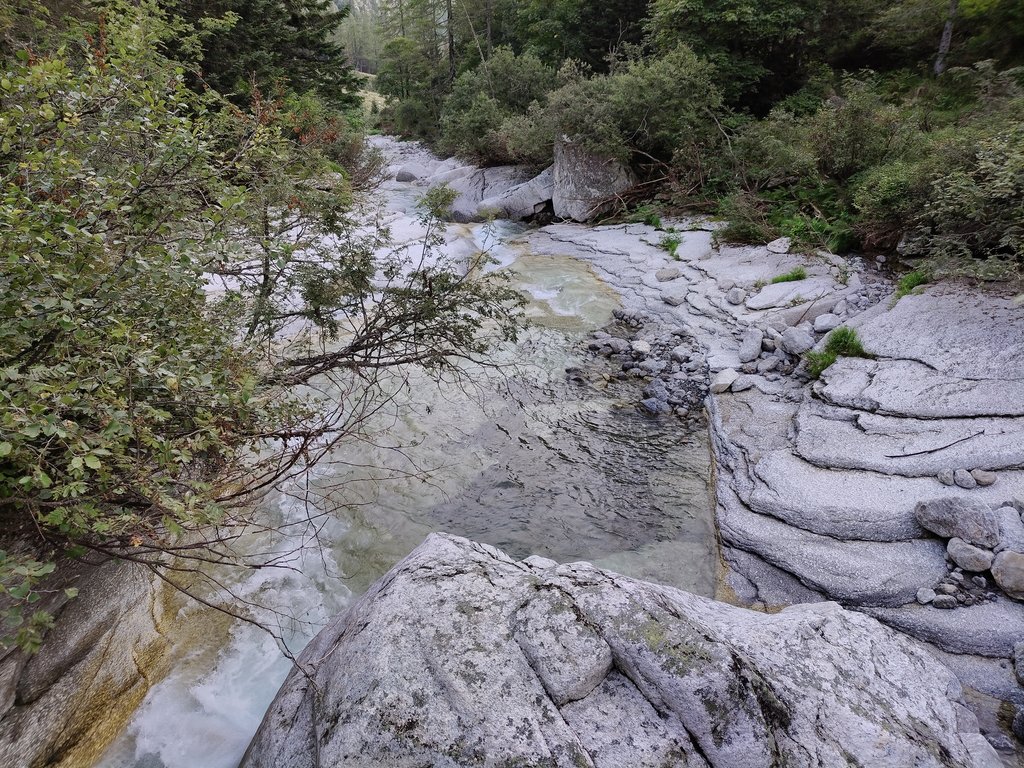 https://i.postimg.cc/c4MvS1VP/IMG20240831082926.jpg