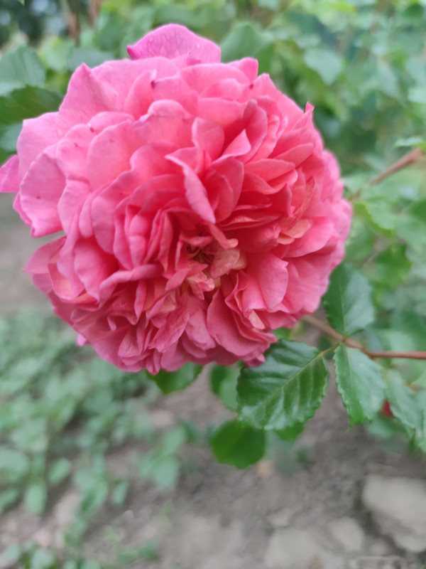IMG_20230516_191348