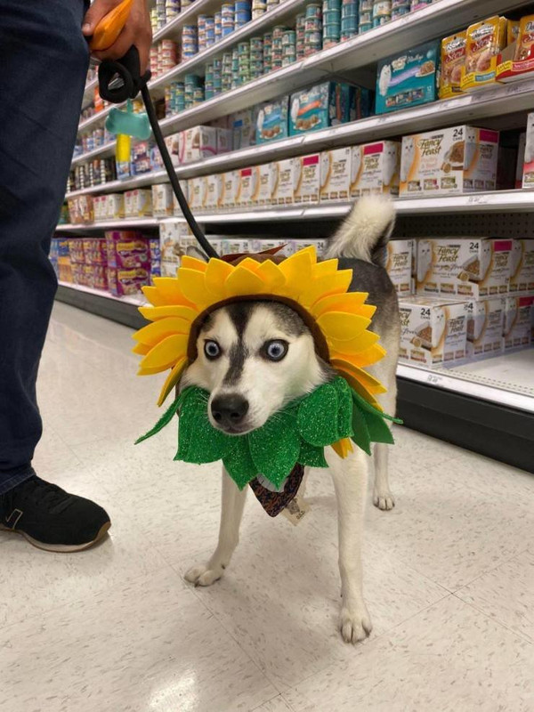 daily-picdump-3230-640-high-20