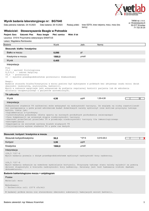 Stowarzyszenie Beagle w Potrzebie (BG7640)-1-3