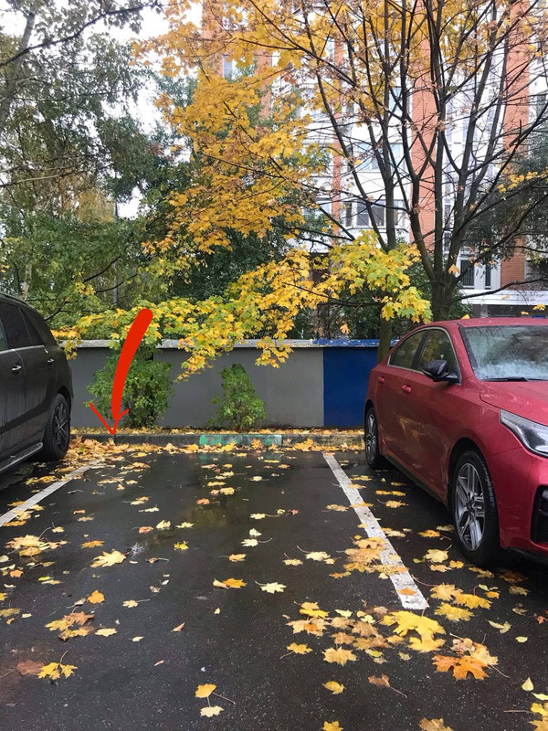 IMG_20251013_035615_172