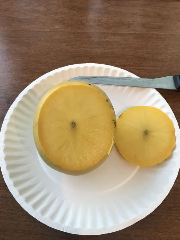 9FA57A24-DD2A-4D51-A815-519167732D1B