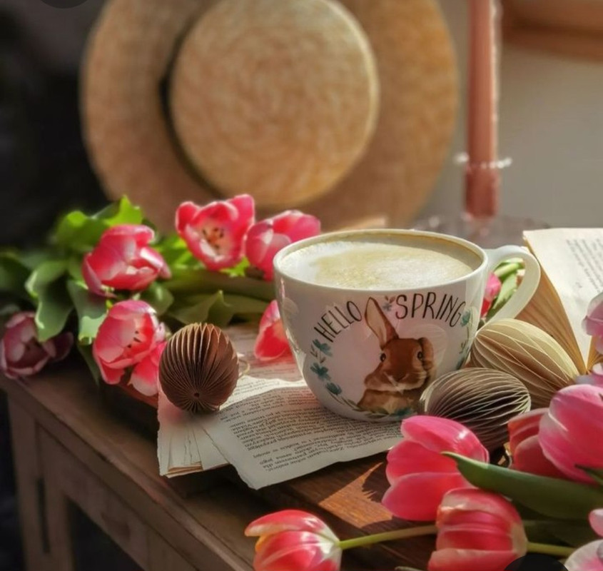 Screenshot_20230322_001009_Pinterest