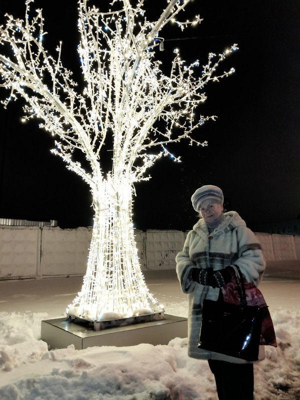 Вечернее дерево