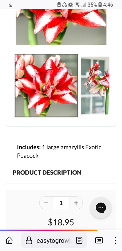 Screenshot_20230830-044608_Firefox