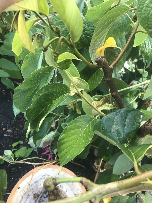 C4271163-29B8-44A5-9E6E-3F2AC84029D9