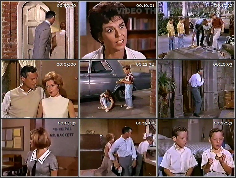 Please Don't Eat the Daisies - S01E05 - We're Bigger Than They Are, But....mkv