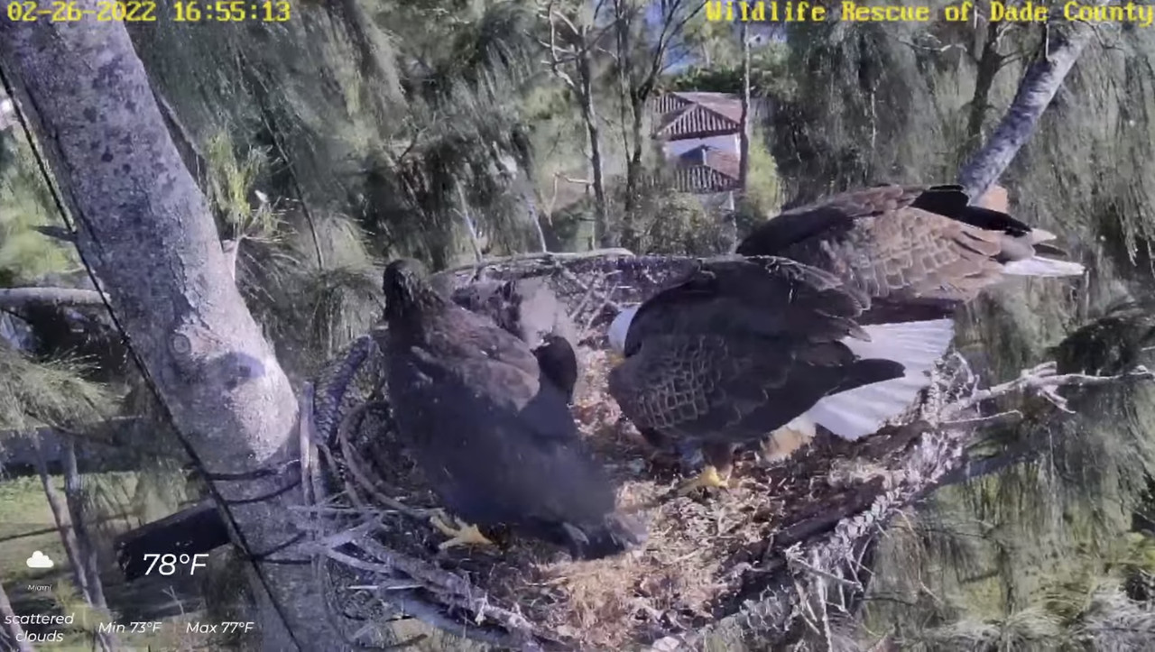 7BC2D600-6C7A-4744-8D80-5A4A869D1B8F